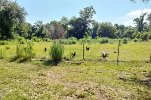 3990 Whispering Pines Cir, Greenwood, FL 32443 - Photo 5