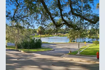 198 N Lake Franklin Drive, Mount Dora, FL 32757 - Photo 3