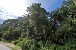 Scanlon Ave, North Port, FL 34291 - Photo 1