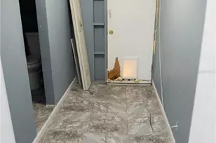 4309 S Rio Grande Ave, Orlando, FL 32839 - Photo 17