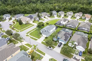 2214 Wyndham Palms Way, Kissimmee, FL 34747 - Photo 49