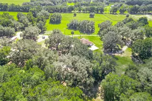 12611 NE 36th Ave, Anthony, FL 32617 - Photo 89