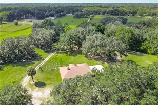 12611 NE 36th Ave, Anthony, FL 32617 - Photo 87