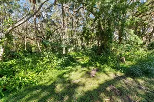 1385 Enterprise Osteen Rd, Enterprise, FL 32725 - Photo 31