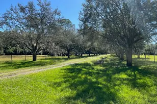 530 Rebel Run, Osteen, FL 32764 - Photo 3