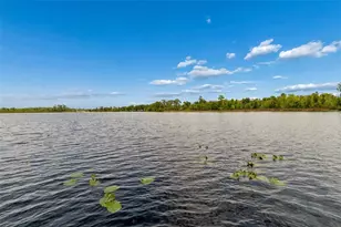 10698 Royal Cypress Way, Orlando, FL 32836 - Photo 53