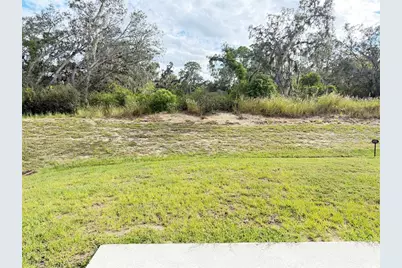 3164 Goose Road, Davenport, FL 33837 - Photo 17