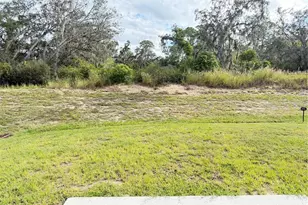 3164 Goose Rd, Davenport, FL 33837 - Photo 17