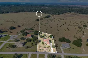 23800 Milford Dr, Eustis, FL 32736 - Photo 45