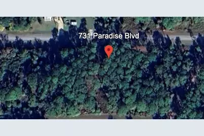 731 Paradise Boulevard, Georgetown, FL 32139 - Photo 5