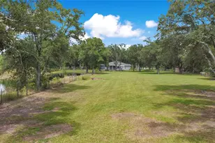 19616 Livingston Ave, Lutz, FL 33559 - Photo 41