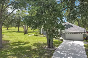 19616 Livingston Ave, Lutz, FL 33559 - Photo 5