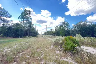 3709 W Wilhelm St, Citrus Springs, FL 34433 - Photo 27