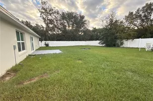 294 Malauka Run, Ocklawaha, FL 32179 - Photo 19