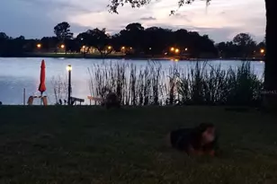 5426 Gemgold Ct, Windermere, FL 34786 - Photo 57