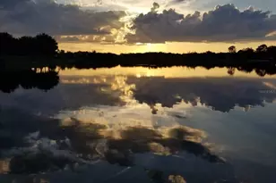 5426 Gemgold Ct, Windermere, FL 34786 - Photo 53