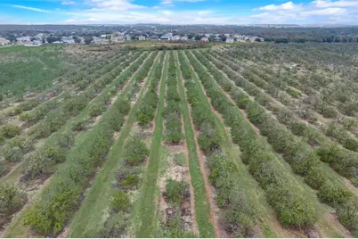 4512 Olympia Court, Clermont, FL 34714 - Photo 61