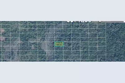 Dill Road, Orlando, FL 32820 - Photo 3