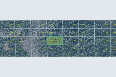 Dill Road, Orlando, FL 32820 - Photo 1