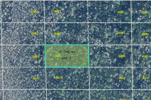 Dill Rd, Orlando, FL 32820 - Photo 1