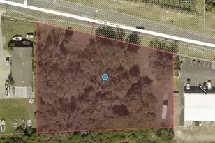 Old Hwy 441, Tavares, FL 32778 - Photo 1