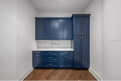 9733 Carillon Park Drive, Windermere, FL 34786 - Photo 63