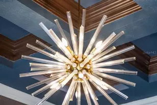 9733 Carillon Park Dr, Windermere, FL 34786 - Photo 15