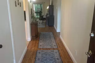 1200 Tarpon Woods Blvd, Palm Harbor, FL 34685 - Photo 3