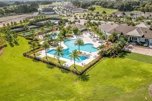 1825 Flora Pass Pl, Kissimmee, FL 34747 - Photo 47