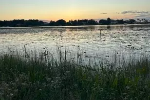 4226 Downeast Ln, Windermere, FL 34786 - Photo 17