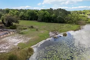 4226 Downeast Ln, Windermere, FL 34786 - Photo 27