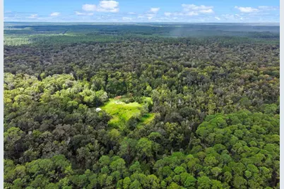 Nfs 73 / Alco Road, Astor, FL 32102 - Photo 3