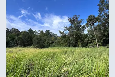 Nfs 73 / Alco Road, Astor, FL 32102 - Photo 41