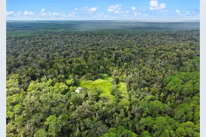 Nfs 73 / Alco Road, Astor, FL 32102 - Photo 5