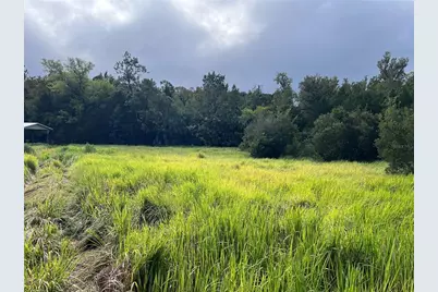 Nfs 73 / Alco Road, Astor, FL 32102 - Photo 47