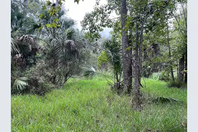 Nfs 73 / Alco Road, Astor, FL 32102 - Photo 49