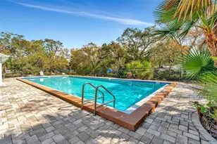 4127 Dolphin Dr, Tampa, FL 33617 - Photo 35