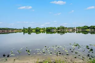 4127 Dolphin Dr, Tampa, FL 33617 - Photo 27