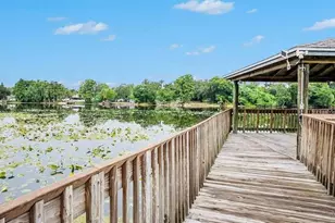 4127 Dolphin Dr, Tampa, FL 33617 - Photo 25