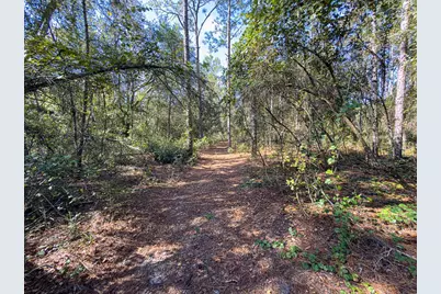 34095 Hyatt Rd, Dade City, FL 33523 - Photo 17