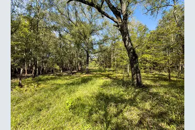 34095 Hyatt Rd, Dade City, FL 33523 - Photo 29