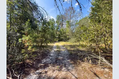 34095 Hyatt Rd, Dade City, FL 33523 - Photo 23