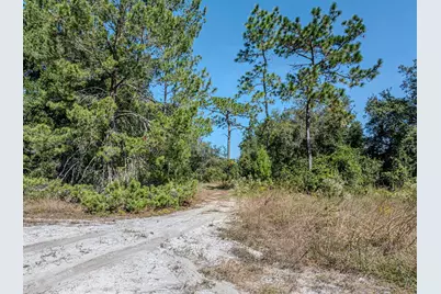 34095 Hyatt Rd, Dade City, FL 33523 - Photo 13