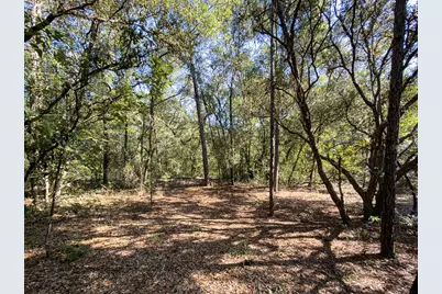 34095 Hyatt Rd, Dade City, FL 33523 - Photo 19