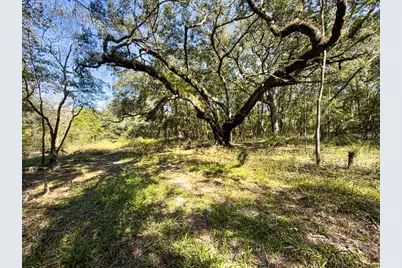 34095 Hyatt Rd, Dade City, FL 33523 - Photo 39