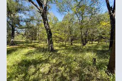 34095 Hyatt Rd, Dade City, FL 33523 - Photo 35