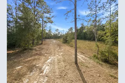 34095 Hyatt Rd, Dade City, FL 33523 - Photo 45