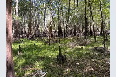 34095 Hyatt Rd, Dade City, FL 33523 - Photo 31