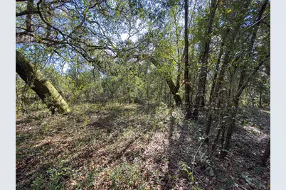 34095 Hyatt Rd, Dade City, FL 33523 - Photo 25