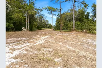 34095 Hyatt Rd, Dade City, FL 33523 - Photo 39